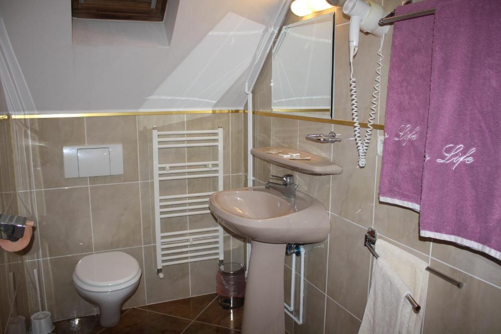 Pensiunea Zodiac Timişoara Chambre photo